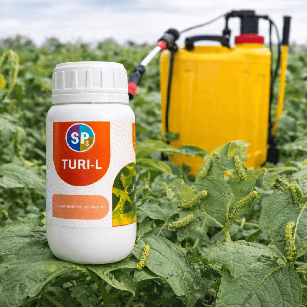 Plant Nutrient Solutions